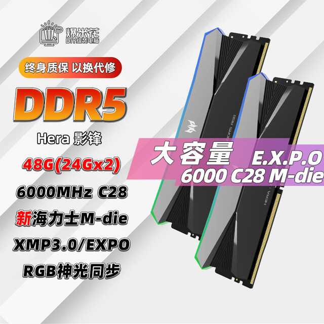 Acer Ice Blade c28 ddr5 shadow front glare 6000/6400/8000 16gx2 24gx2 desktop memory