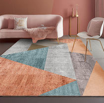 Nordic Ins Style Living Room Carpet Tea Table Blanket Mat Modern Minima Light Lavish Home Mat Bedroom Floor Mat Wash