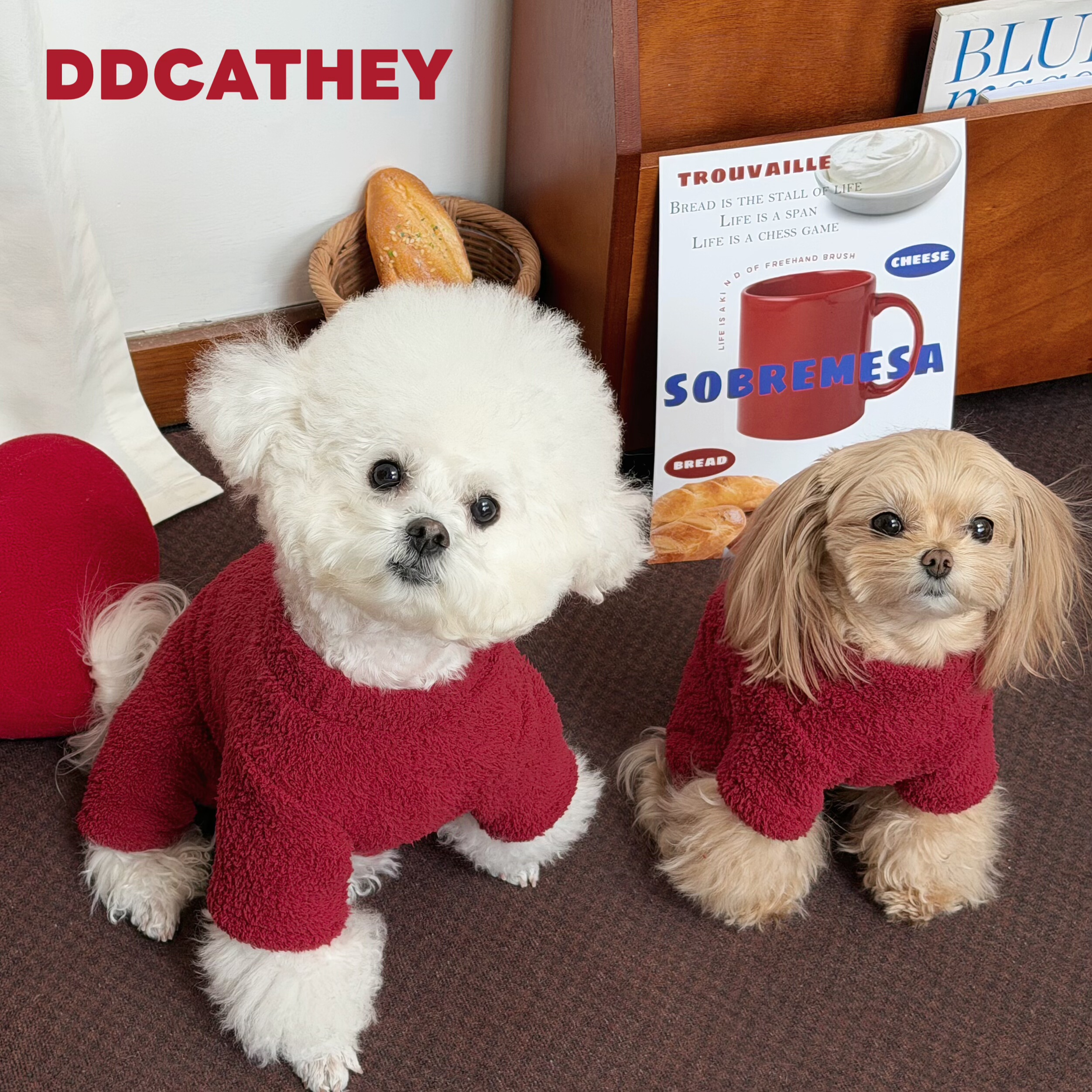 袋袋猫 升级高弹双面绒!宠物四脚棉衣 马尔泰比熊狗狗冬宠物衣服,淘宝优惠券,粉丝福利购,淘宝优惠卷