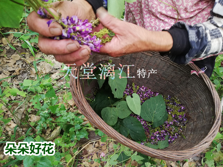 天堂漓江晒干自然葛花茶野生解酒茶特级无硫正品葛根花醒酒茶包邮 - 图0