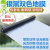 Qihang silver and black two-color mulch reflective mulch film weeding film