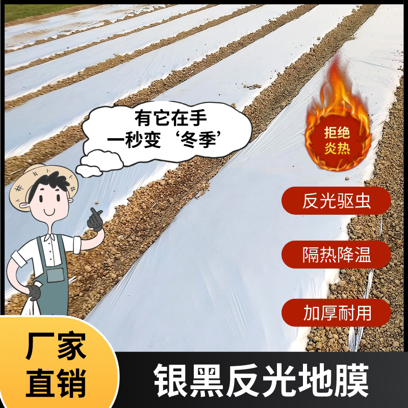 Qihang silver and black two-color mulch reflective mulch film weeding film