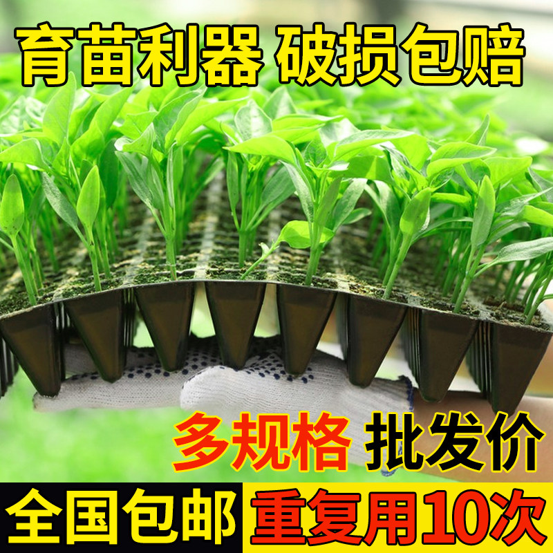 育苗盘穴盘育苗盆育苗杯育苗盒玉米育苗专用盘西瓜育苗盘穴盘苗盘,淘宝优惠券,粉丝福利购,淘宝优惠卷