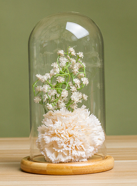 永生花玻璃罩透明手办展示盒摆件