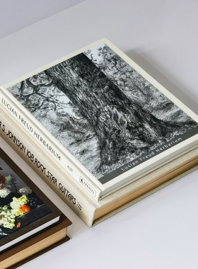 中古风装饰真书精装布面可翻页