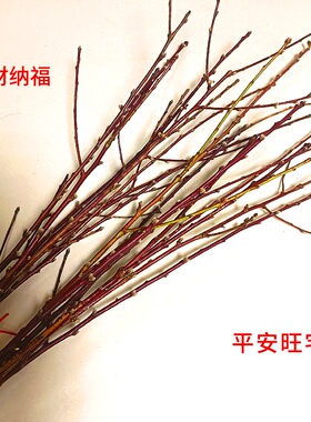 鲜桃树枝婴儿桃花枝东南桃木宝宝出院桃枝条搬家转运干枝桃树摆件