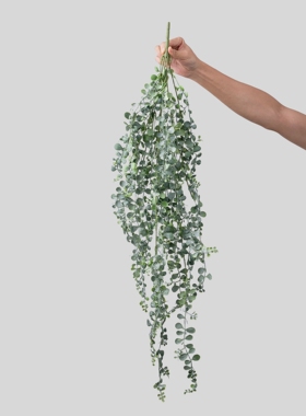 仿真绿植吊兰假花假尤加利藤蔓家居装饰吊饰挂件吊饰挂件金鱼草藤