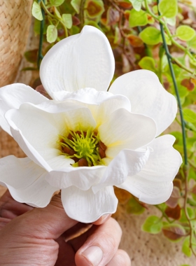 仿真玉兰花头装饰花艺插花假花DIY手工材料假花pvc软胶湿感仿真花