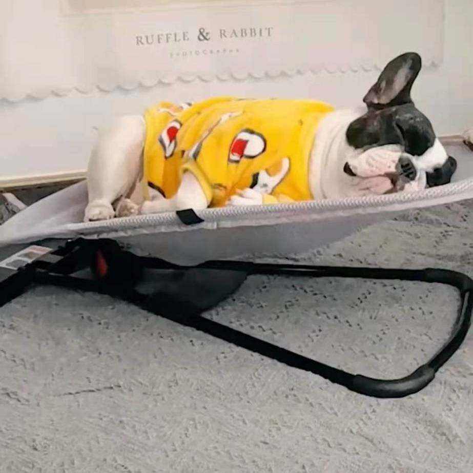 狗狗摇摇椅宠物猫咪床狗摇椅泰迪躺椅法斗睡觉小型秋千便携式网布,淘宝优惠券,粉丝福利购,淘宝优惠卷
