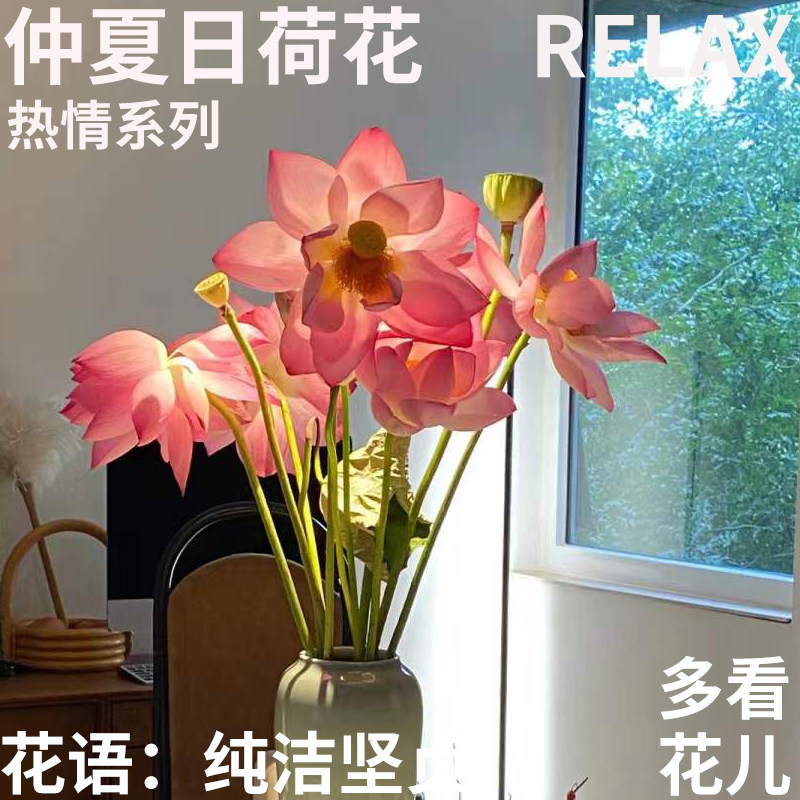 半夏森林夏季荷花鲜切枝超级植物七夕情人节礼物室内家用绿植