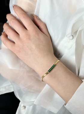 暖心/祖母绿蛇骨链钛钢手链女百搭高级感信物显白轻奢手链刀片链