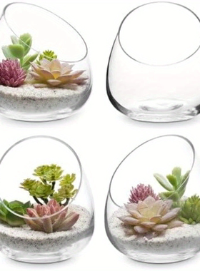 透明玻璃花瓶多肉植物栽培人工吹制玻璃容器微景观制作