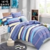 Chăn bông đơn mảnh cotton đơn giản học sinh 1,5 m 1,8m giường đôi 180x200 × 230 mùa chăn - Quilt Covers Quilt Covers