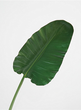 北欧仿真植物手感鹤望兰叶室内家居装饰软装插花摆件摄影道具假花