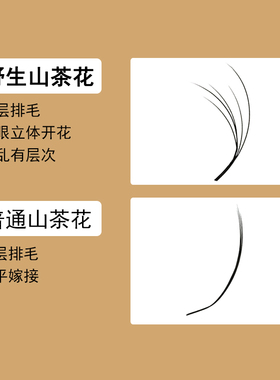 多层次野生山茶花睫毛
