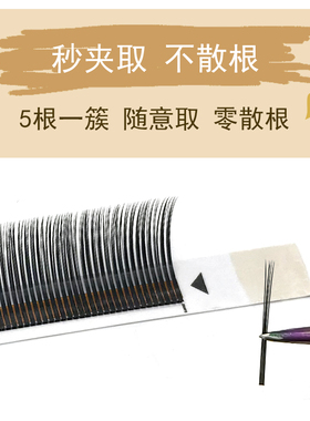5d花神睫毛漫画仙子款点缀