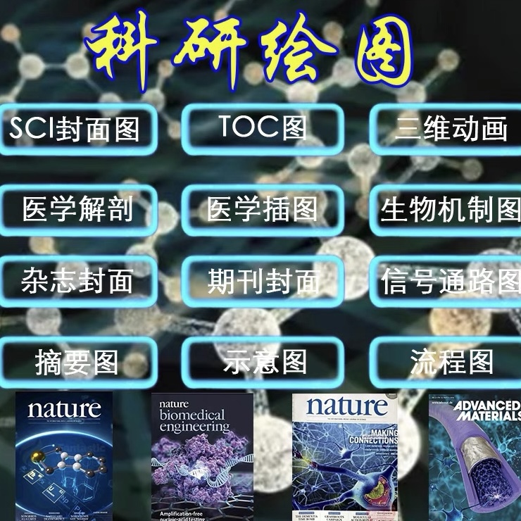 科研绘图医疗医学科普图片图文制作学术论文插图配图设计课件壁报-图1