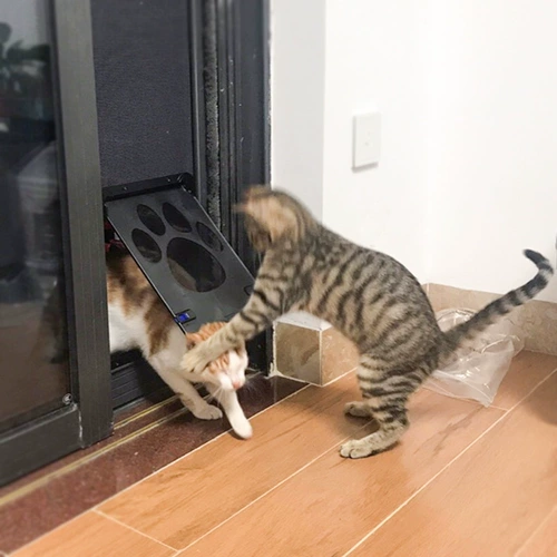 Ворота кошки в дверь отверстия в дверной дыре в дверь двухэкранного окна летом, комарский анти -москито в и из дверного отверстия для собаки Дверь Дверь Дверь Дверь Дверь Дверь