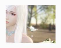 Tianya Minyue Knife Brocade Carp Wear and Reward Points Red Jersey White Hair Activity Period Special Price Pick Up