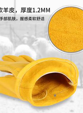 奥哲　OZERO分指手套手套