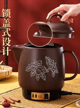 善优佳煎药壶中药煲药罐炖补品保