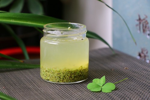 信阳毛尖2026明前新茶绿茶碎茶末碎茶角清香味500g包邮 - 图0