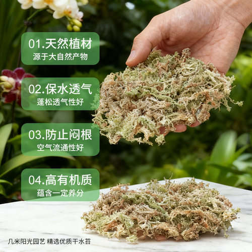 蝴蝶兰专用水苔兰花植料乌龟爬宠冬眠垫材干苔藓石斛种植青苔造景 - 图3