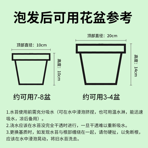 蝴蝶兰专用水苔兰花植料乌龟爬宠冬眠垫材干苔藓石斛种植青苔造景 - 图2