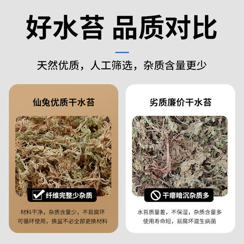 蝴蝶兰专用水苔兰花植料乌龟爬宠冬眠垫材干苔藓石斛种植青苔造景 - 图1