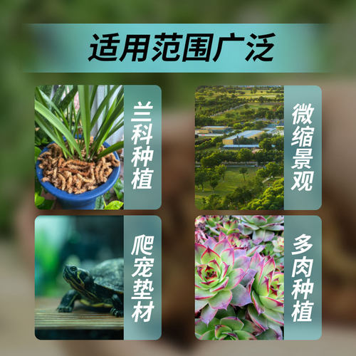 智利进口水苔蝴蝶兰专用兰花土石斛毛毛虫水苔植料干苔藓乌龟冬眠 - 图2