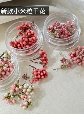 美甲穿戴甲小花苞干花碎花指甲饰品混合干花材料包搭配摆拍素材包