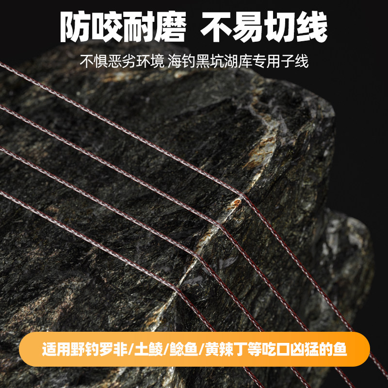 进口碳芯大力马子线双钩黑坑竞技专用防缠绕pe线绑好鱼钩成品套装,淘宝优惠券,粉丝福利购,淘宝优惠卷