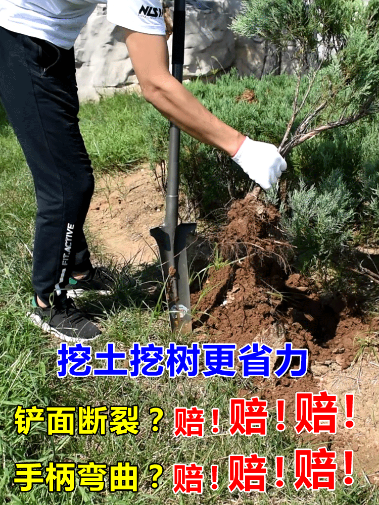挖树神器铁锹农用洛阳铲子全锰钢加厚起苗挖土坑树根专用园林工具 - 图3