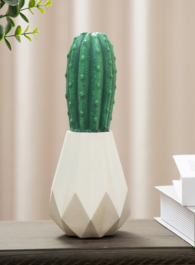 多肉治愈系摆件茶几客厅创意轻奢风书柜装饰品北欧电视柜植物摆设