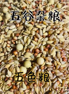 白事丧事祭祀随葬用品五谷杂粮陪葬品下葬安葬品