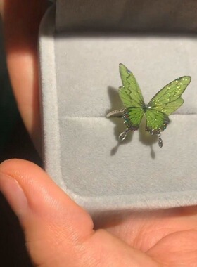 2024年新款爆款浅绿色蝴蝶戒指贝壳偏光闪闪亮小红书同款