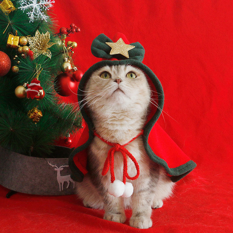 宠物圣诞斗篷猫咪新年红色披风狗狗过年披肩泰迪保暖衣服可爱拍照,淘宝优惠券,粉丝福利购,淘宝优惠卷