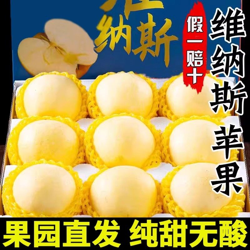 正宗特级烟台维纳斯苹果孕妇水果奶油当季新鲜现摘黄苹果整箱包邮,淘宝优惠券,粉丝福利购,淘宝优惠卷