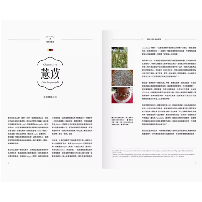 【预售】台版 有灵 原民植物智慧 麦浩斯 郑汉文 透过部落耆老口传的知识阅读风物之诗与土地之歌科普书籍