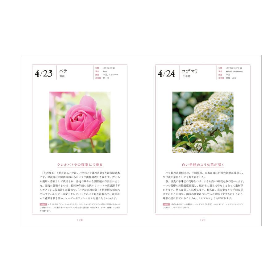 【预售】日文原版 花と暦を楽しむ366日 -あなたに贈りたい 季節の花ー 森乃 おと 366天赏花与日历—我想送给你的时令鲜花 玄光社