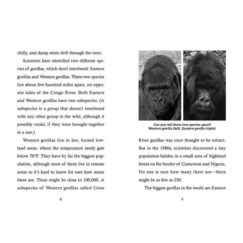 【预售】英文原版 Save the...Gorillas 拯救 大猩猩 Philomel Books Anita Sanchez 学习如何拯救他们喜爱的动物儿童科普书籍 - 图2