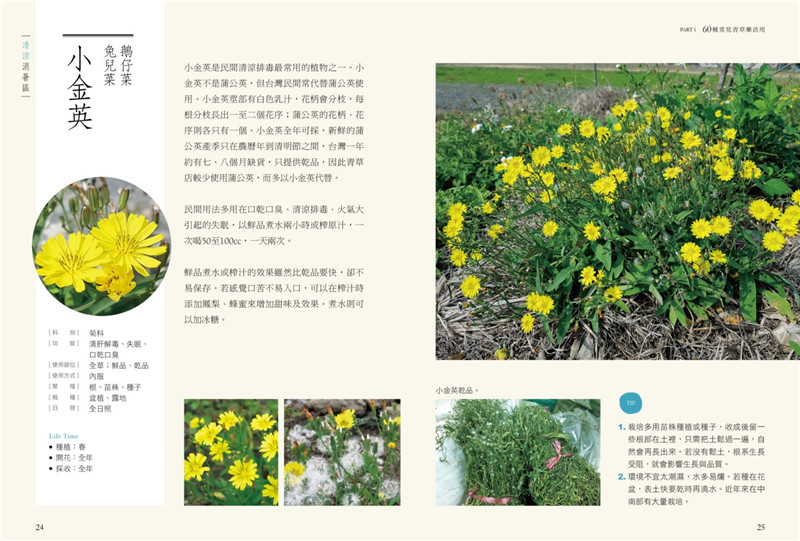 台版《家有青草药超养生（2020年增订版）》60种清凉解渴的茶品滋补药炖保健养生书籍