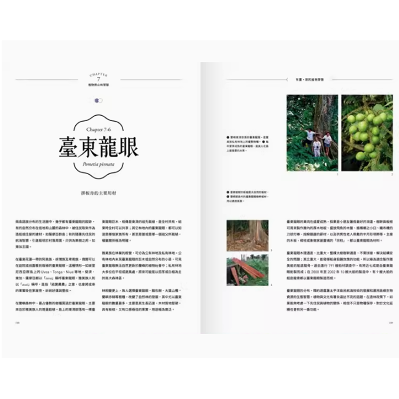 【预售】台版 有灵 原民植物智慧 麦浩斯 郑汉文 透过部落耆老口传的知识阅读风物之诗与土地之歌科普书籍