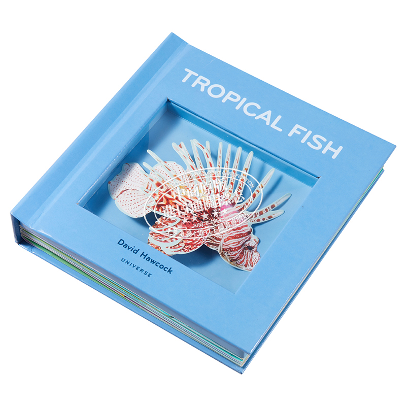 现货 英国纸艺大师大卫 霍考克 热带鱼立体书 Tropical Fish 英文原版 David Hawcock 3D立体书 礼品书【中商原版】 - 图1