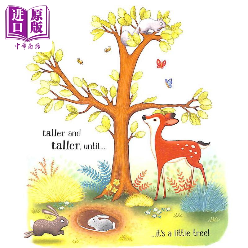 现货 One Little Tree 一棵小树 英文原版儿童绘本 科学与自然规律 3到6岁 纸板书 Lesley Sims【中商原版】 - 图3