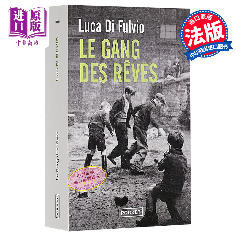 现货 筑梦男孩 意大利当代小说家 Luca Di Fulvio 历史小说 Le Gang des reves 法文原版 美国梦 追梦新生活【中商原版】 - 图0