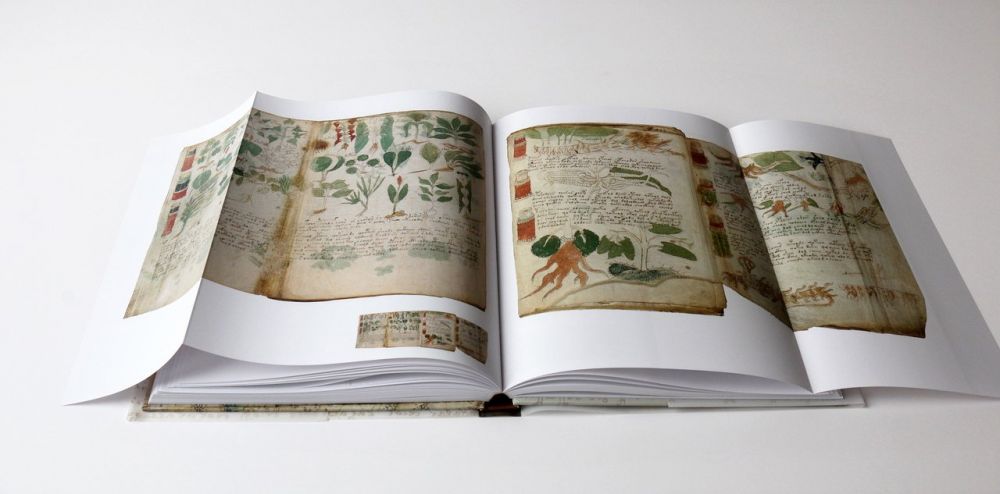 预售 The Voynich Manuscript 15-16世纪神秘天书 伏尼契手稿 进口艺术 善本珍藏 全彩手稿 草本药理中世纪艺术【中商原版】 - 图1