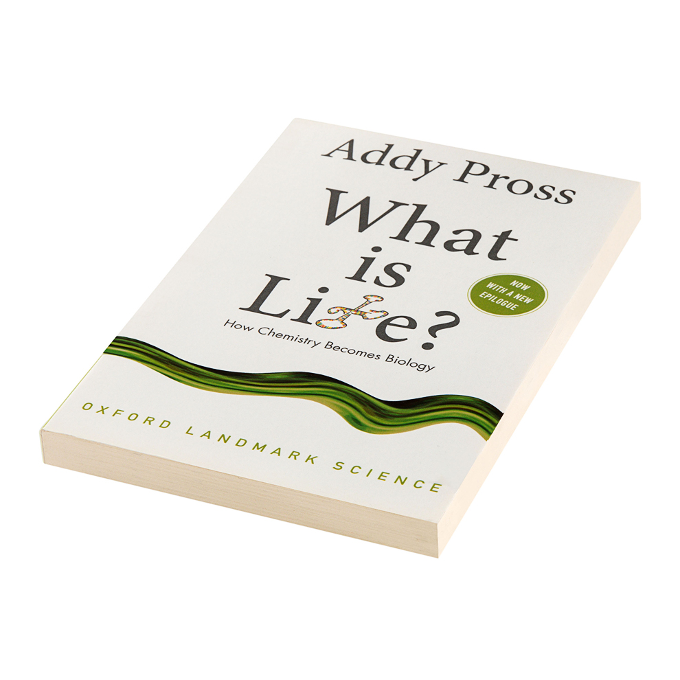 预售 【中商原版】生命是什么 牛津科学里程碑系列 Addy Pross 英文原版 What is Life How Chemistry Becomes Biology - 图0