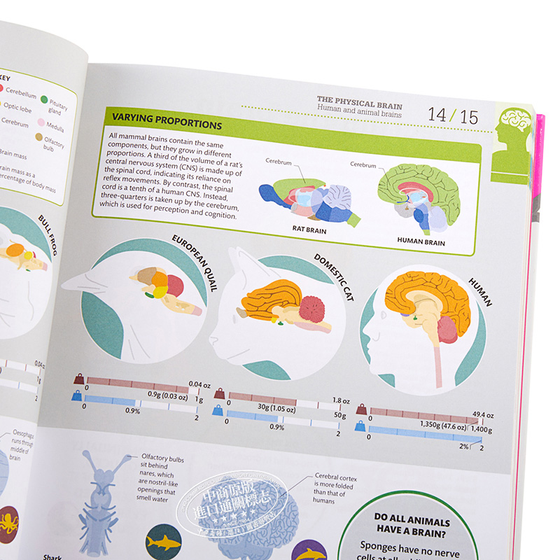 现货 DK科普 DK How the Brain Works The Facts Visually Explained 英文原版 大脑运作百科 【中商原版】 - 图2