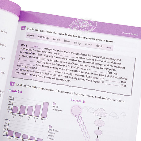 中商原版 Cambridge Ielts Grammar Student Book With Answers And Cd English Original Cambridge Grammar
